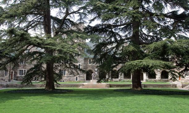 These two cedars of Lebanon were grown from seeds collected by Harvard University in the Cilician Mountains in southern Turkey, and were gifts to Dean Andrew Fleming West 1874 from Charles Sargent Sprague, who mentored Farrand.  West, whose statue is in t