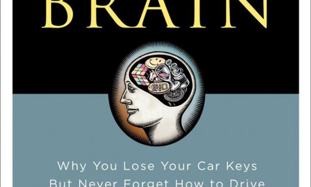 Do We Really Use Only 10 Percent of Our Brain?