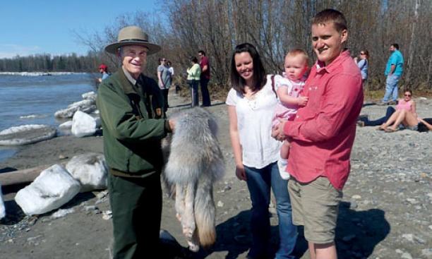 Jay Katzen ’58 shows a wolf pelt to visitors on a nature walk in Alaska’s Denali National Park.