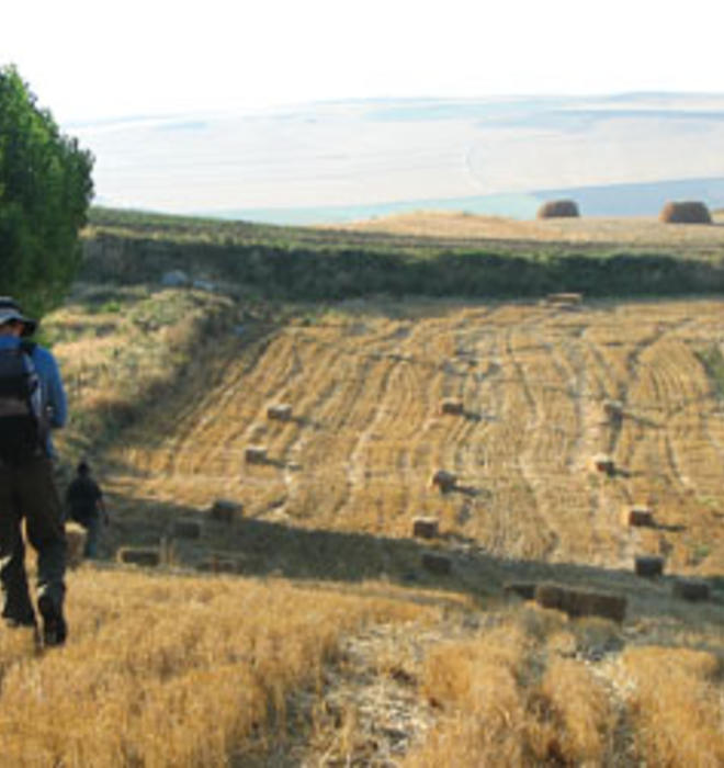 Featured image of the article