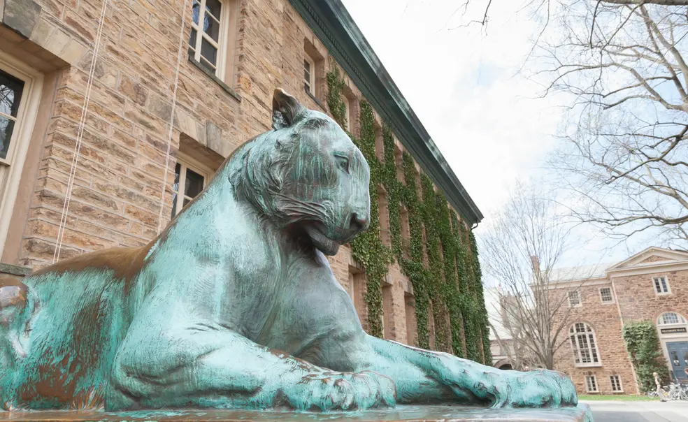 PAW Corporation Dissolved PAW Corporation Dissolved