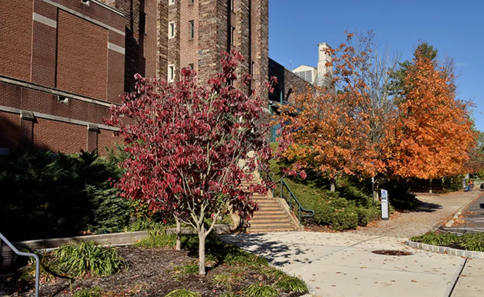 In Short: NEA Funding Cuts, Trustee Elections