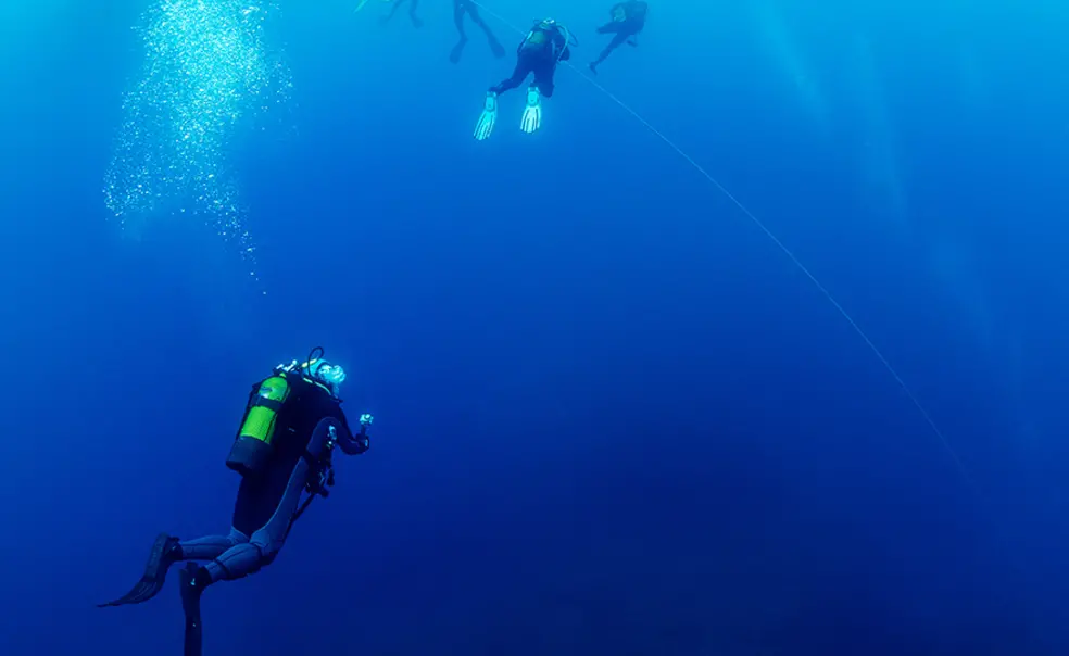 AdobeStock_1192570597_sm.jpg Group of scuba divers rising