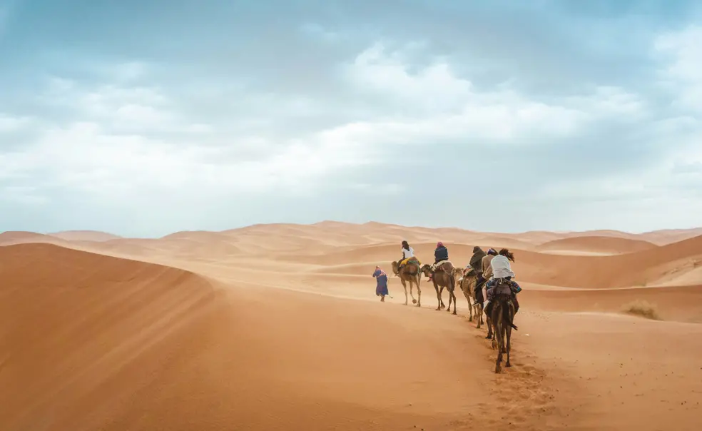 Tiger-Travels_Hicham-Mhammedi-Alaoui-Morocco.jpg Blue skies above sandy desert dunes and in the distance a group on camels can be seen.