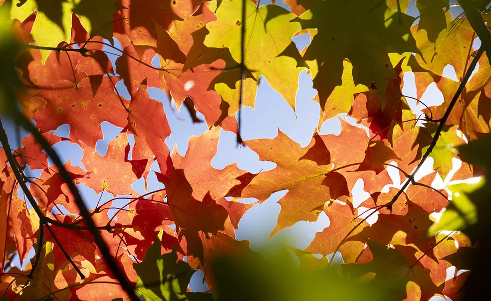 University Reports Death of First-Year Grad Student in History