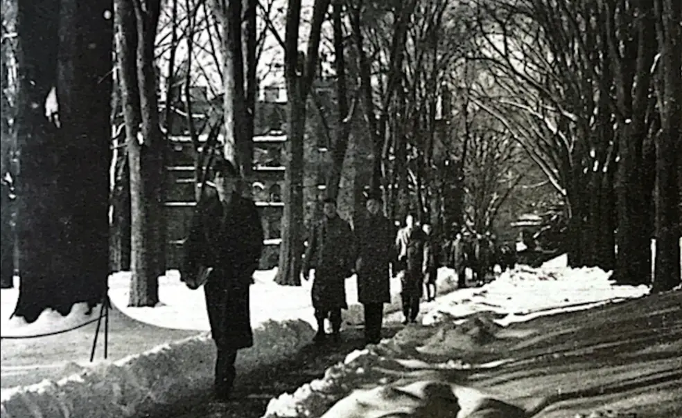 "We Have a Cause Now" "We Have a Cause Now"