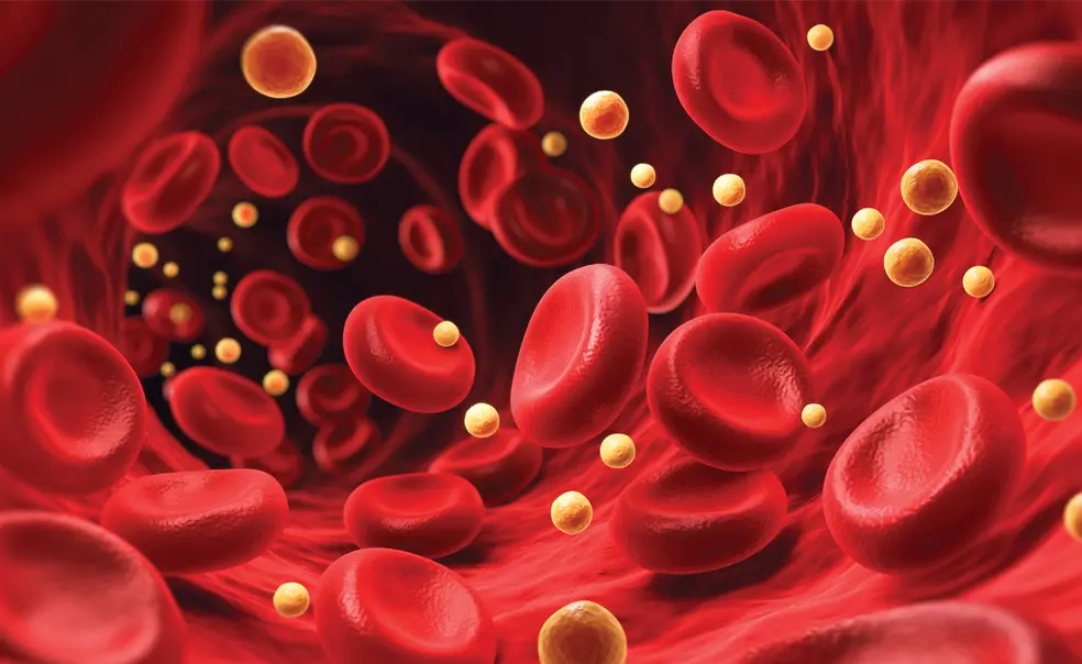 Princetonians Weigh In on New Cholesterol Testing Guidelines Princetonians Weigh In on New Cholesterol Testing Guidelines