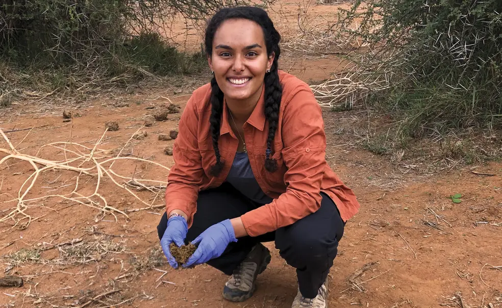Dung Beetles Do ‘the Job That Is Necessary’