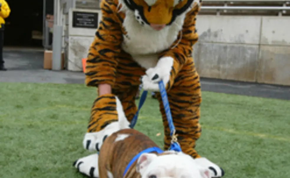 Football preview: Princeton vs. Yale