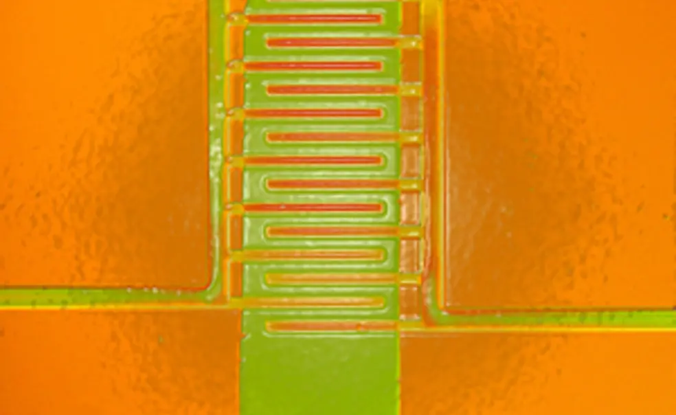 Art of Science images to be displayed at Liberty Science Center