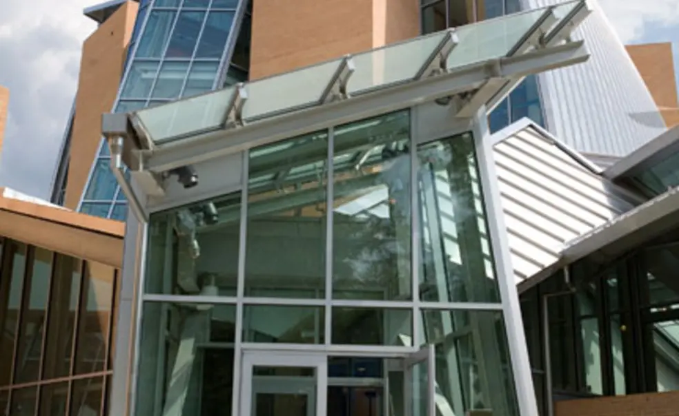 Lewis Library vistas