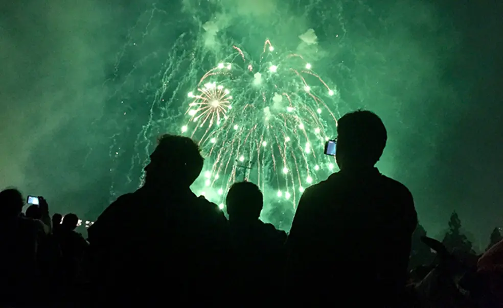 The Whole Student: Mental Health at Reunions 2024