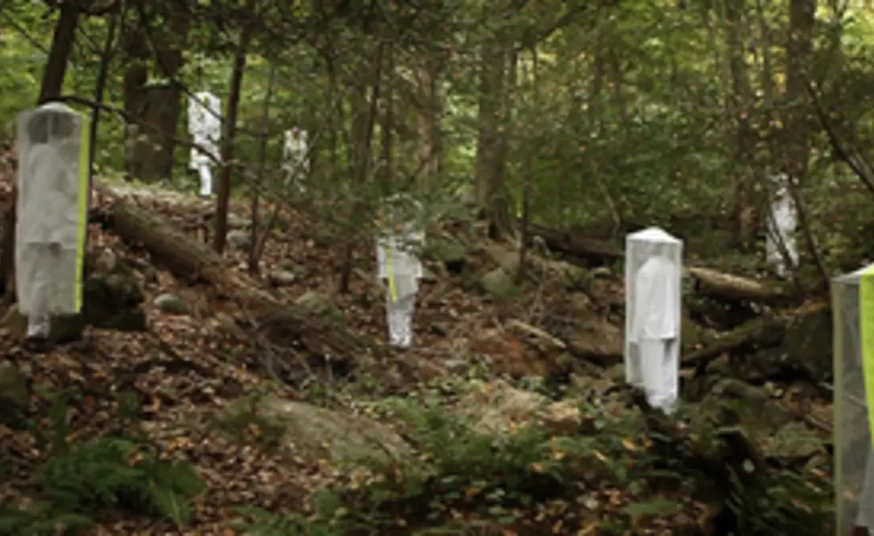 Sigman '89 *98 Develops New Performance Project