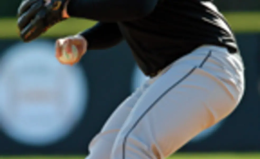 Sport Shorts Sport Shorts