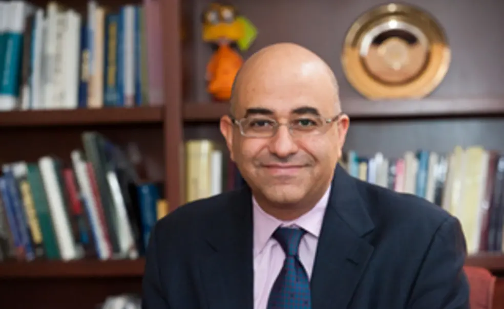 Shehata *00: In Egypt, representation, participation are keys to stability