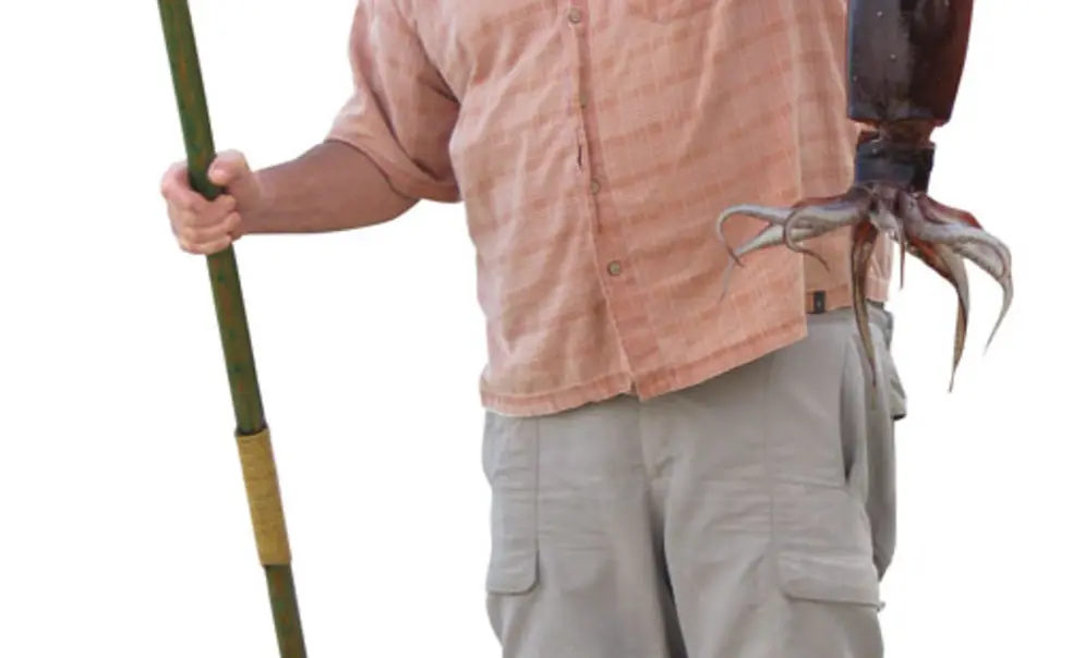 Beyond calamari: What we can learn from squid Beyond calamari: What we can learn from squid