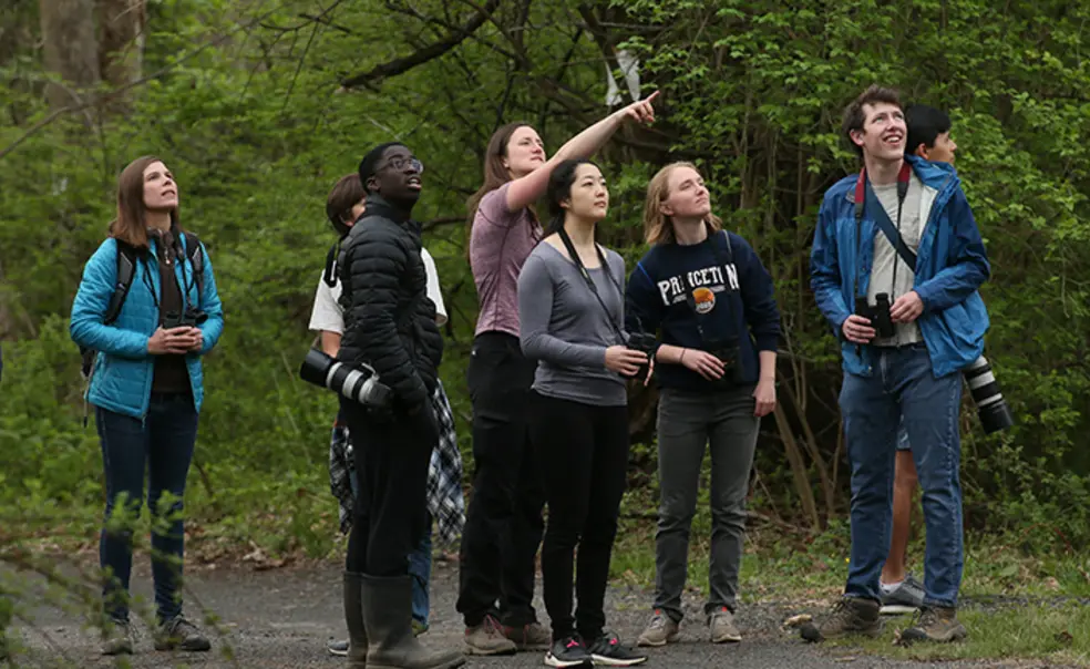 Tigers Take First Place in New Jersey’s World Series of Birding 