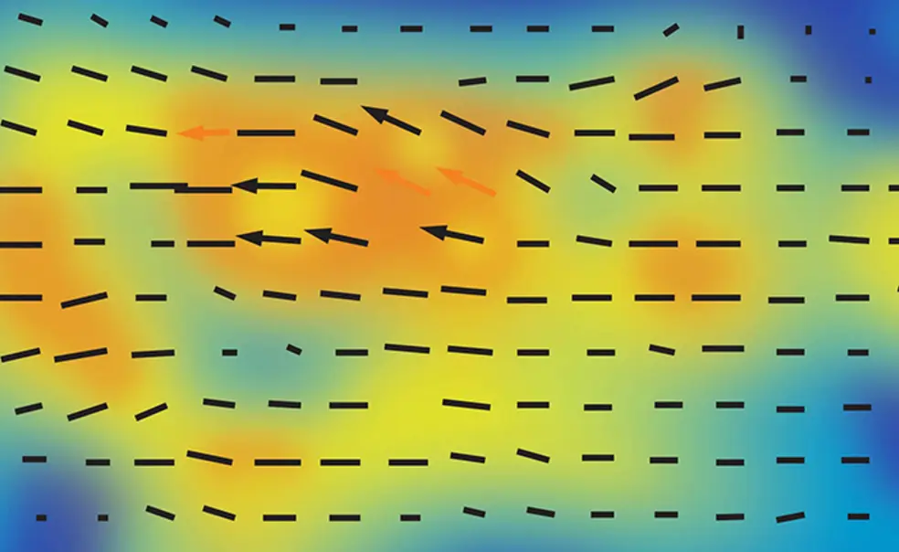 These Princeton Professors Are Researching COVID-19 These Princeton Professors Are Researching COVID-19