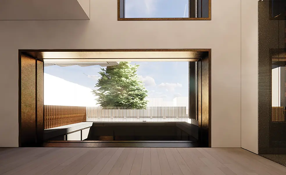 A Redwood Tree Has Been Growing in Princeton for 76 Years