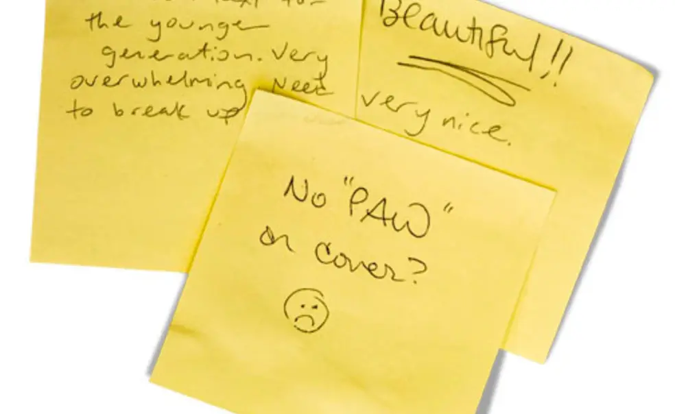 PAW's New Look PAW's New Look