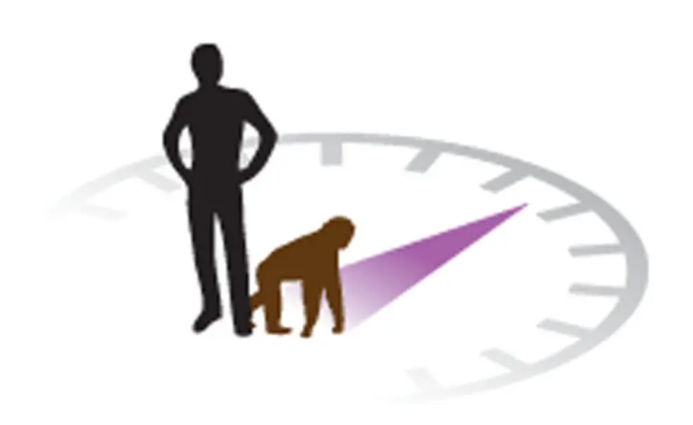 FYI: Findings FYI: Findings