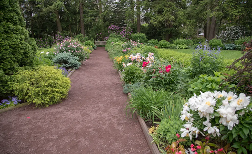 GArden.jpg A path covered in reddish gravel leads past flowers to a wood bench.
