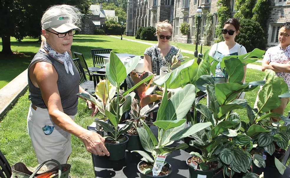 Graduate Students Grow Interest in Pandemic Plants