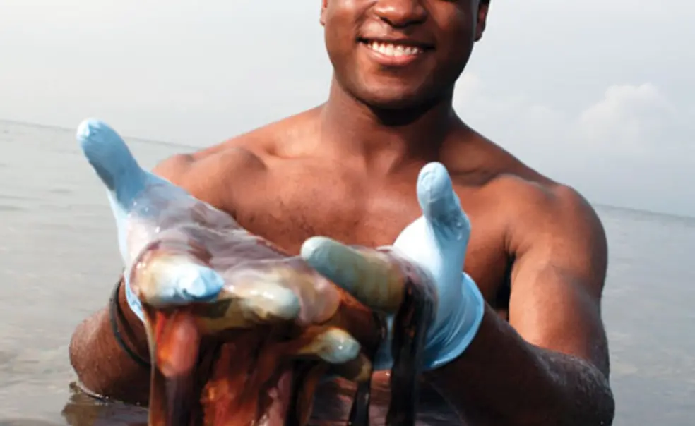 A jellyfish engineer A jellyfish engineer