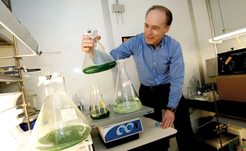 From green algae to green fuel From green algae to green fuel