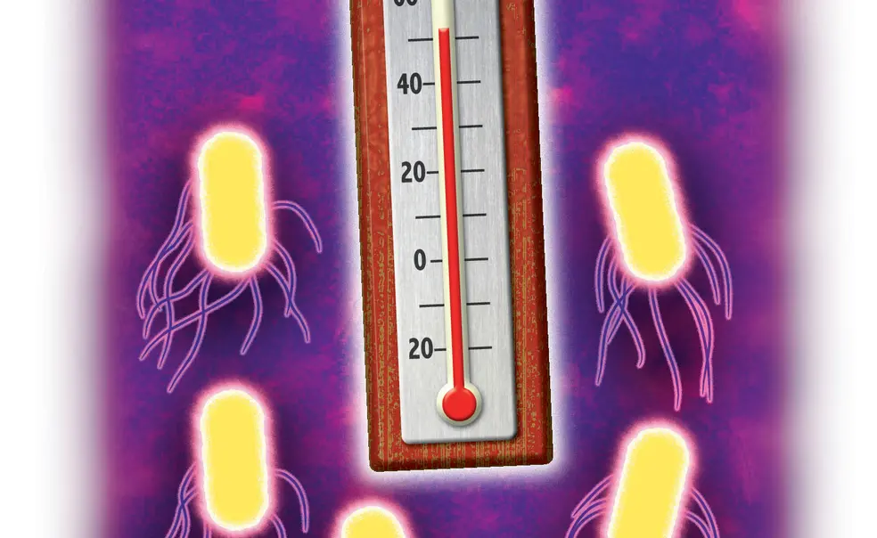 FYI—Findings FYI—Findings