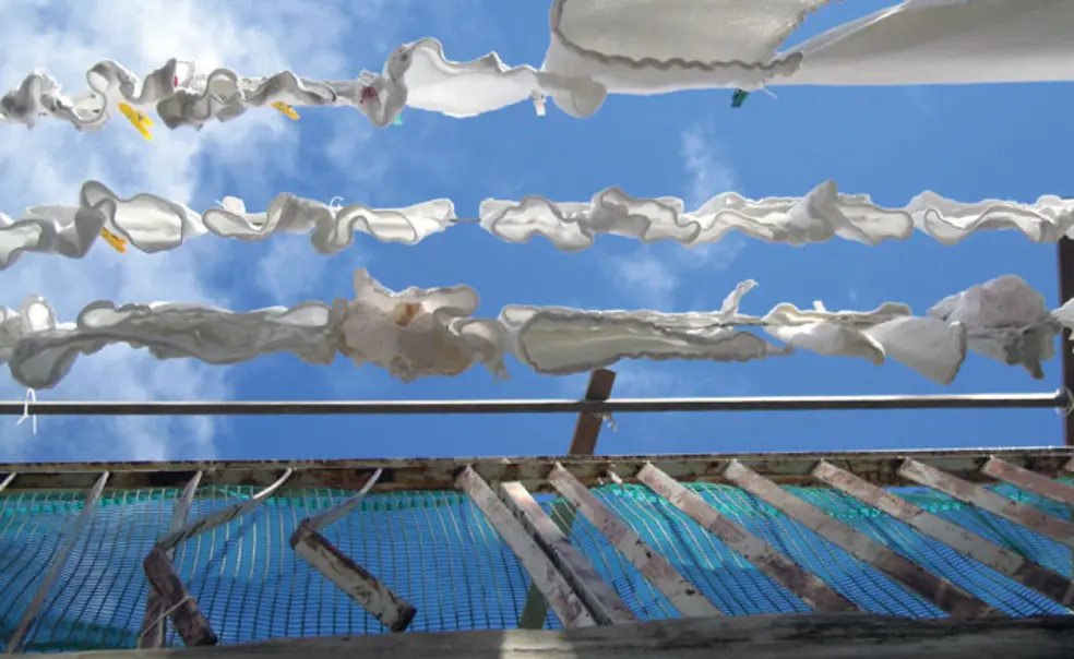 What is family? Princeton views