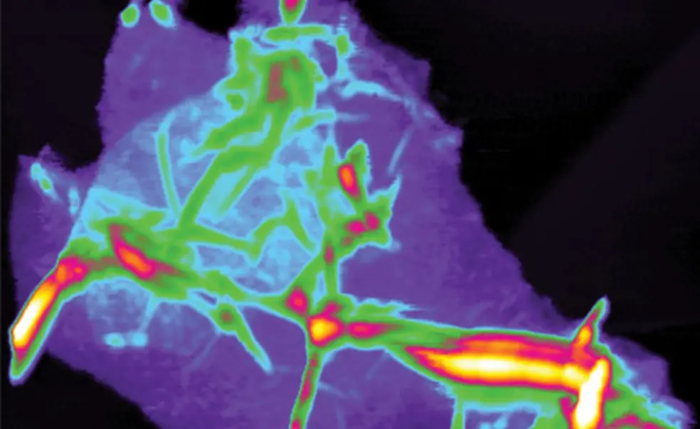 Alum's startup company bets on Princeton research Alum's startup company bets on Princeton research