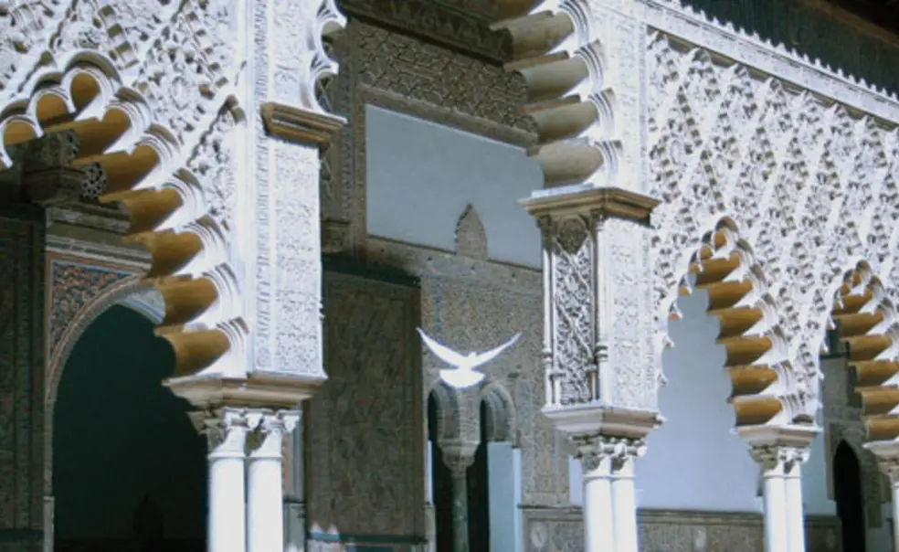 Images of peace Images of peace