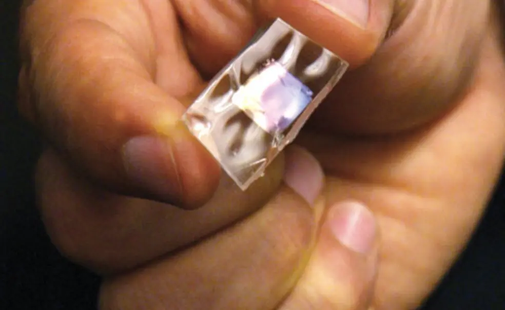 Project X: A fund for risky studies