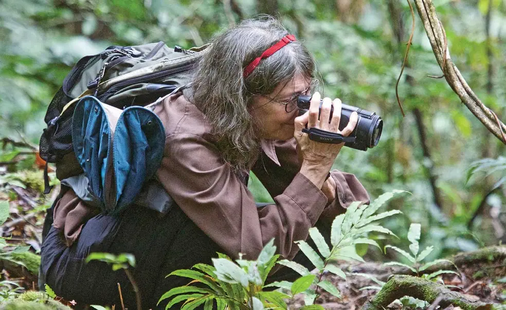 Tropical Ecologist Winnie Hallwachs ’76 Is Tracking Insect Decline Tropical Ecologist Winnie Hallwachs ’76 Is Tracking Insect Decline