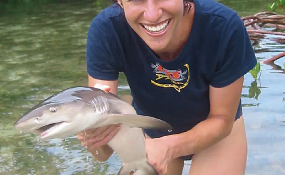 Swimming with sharks Swimming with sharks