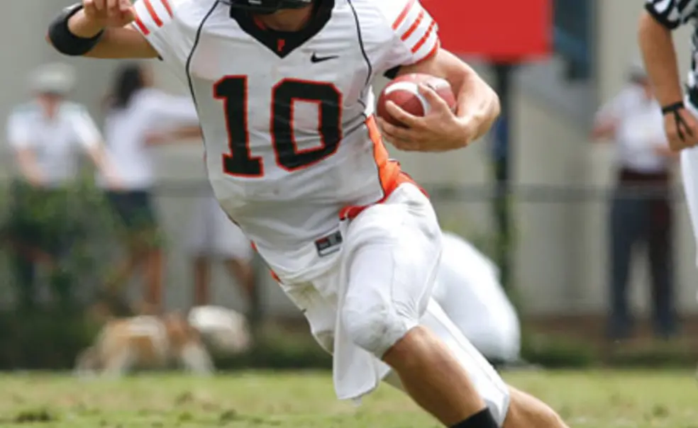 Sports Shorts Sports Shorts