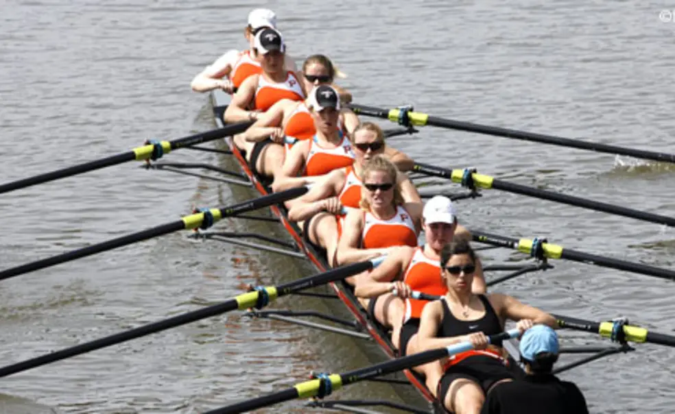 Sports Shorts Sports Shorts