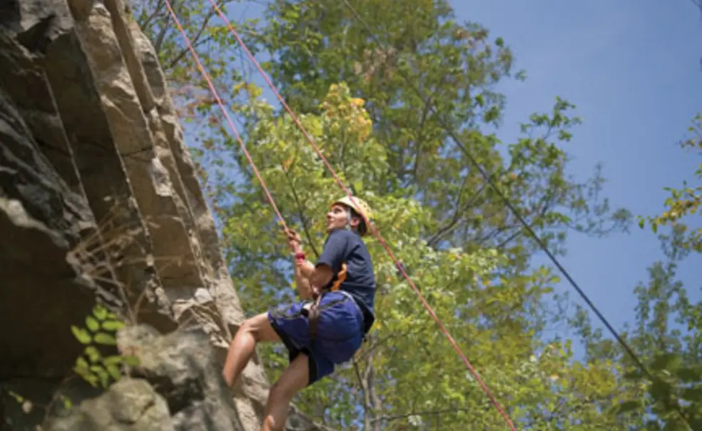 On the trail On the trail