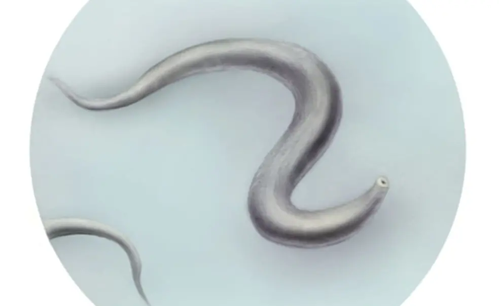 Loved in the Lab Loved in the Lab