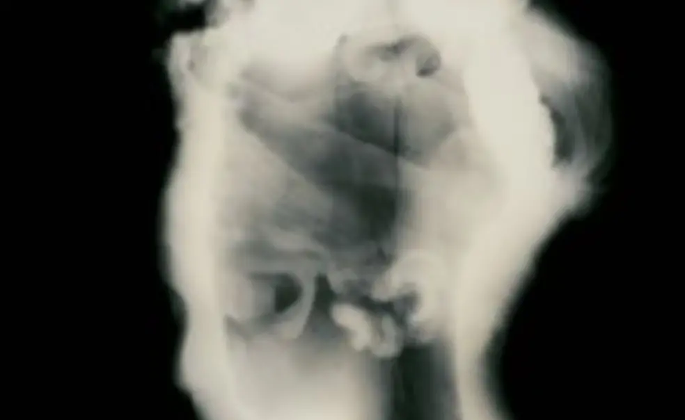 Maisel ’84 Exhibits ‘Ghostly Images’ Maisel ’84 Exhibits ‘Ghostly Images’