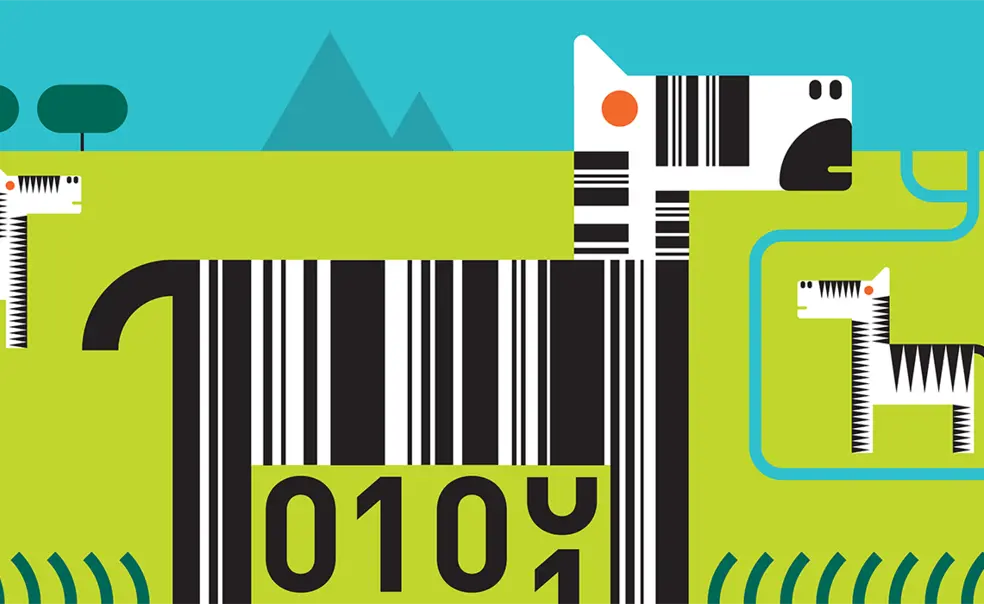 Ecology and Evolutionary Biology: Counting Stripes Ecology and Evolutionary Biology: Counting Stripes