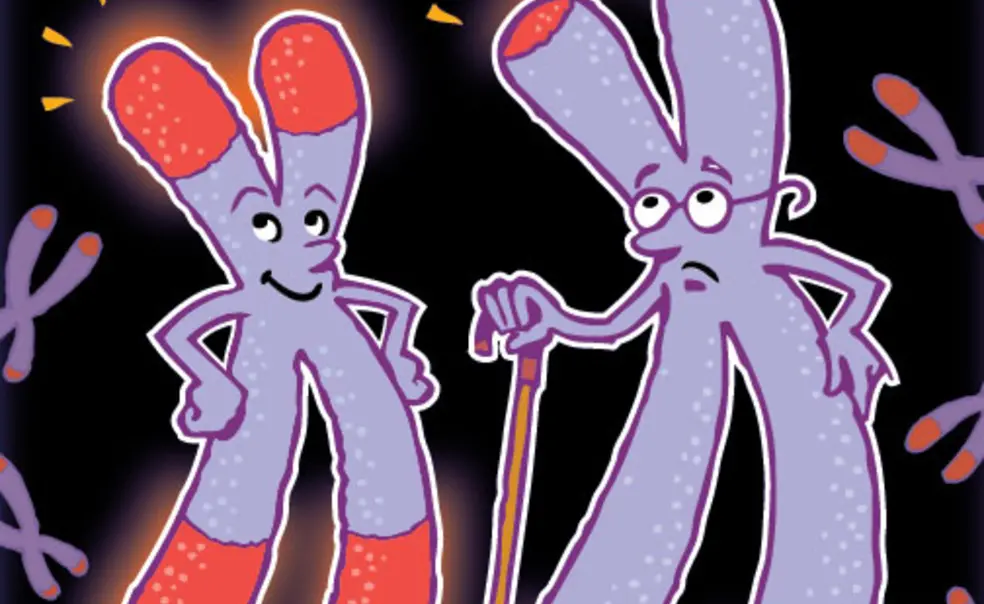 BREAKING GROUND: Pursuing a link to aging, cancer BREAKING GROUND: Pursuing a link to aging, cancer