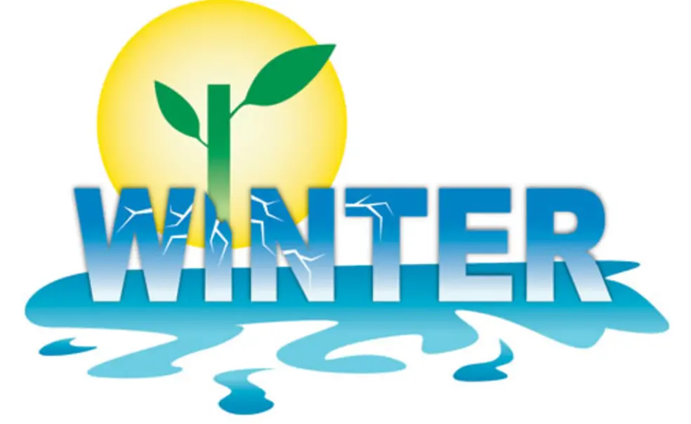 FYI: Findings FYI: Findings