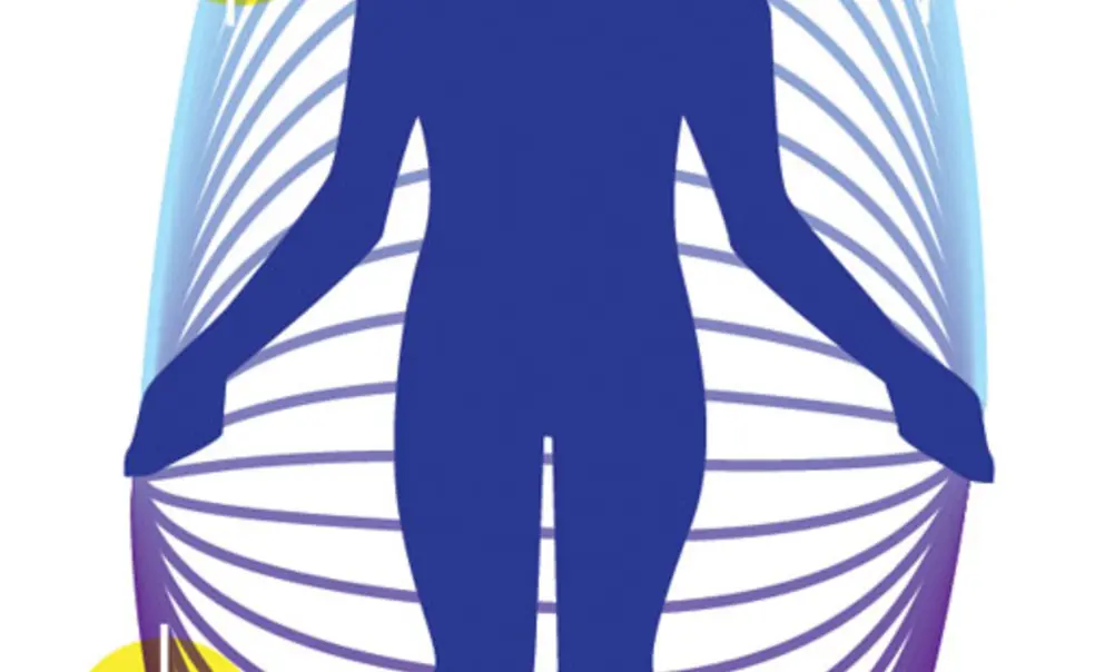 FYI: Findings FYI: Findings