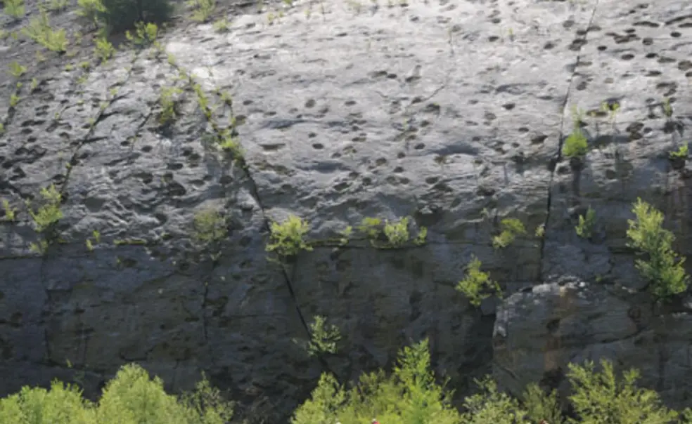 At GeoGrad Reunion, big rocks are stars At GeoGrad Reunion, big rocks are stars