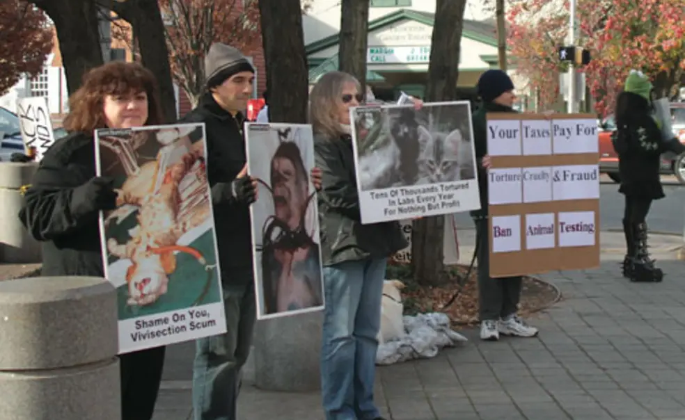 Animal care under scrutiny by USDA, activist groups Animal care under scrutiny by USDA, activist groups