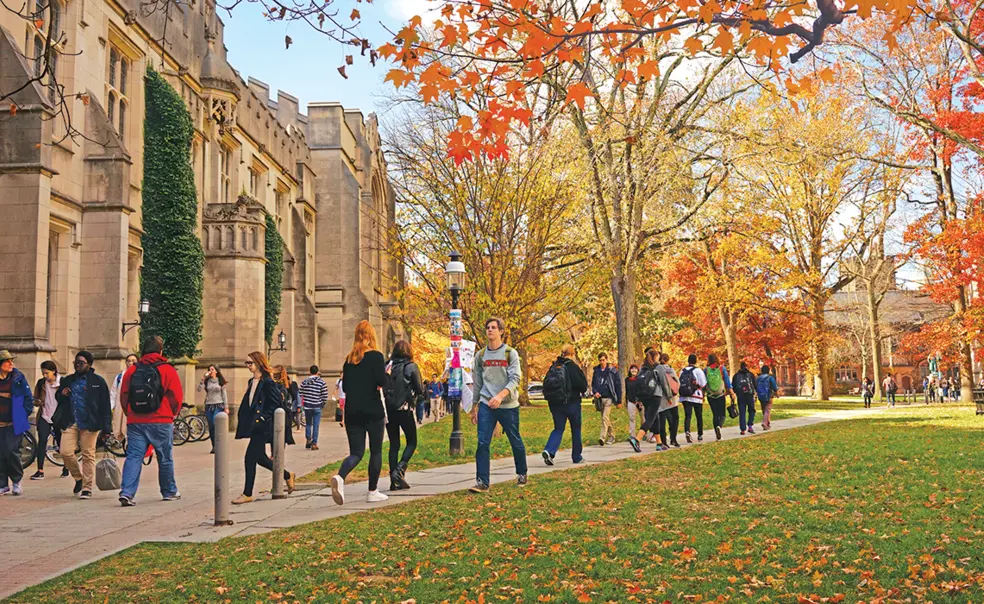 Shaping the Curriculum