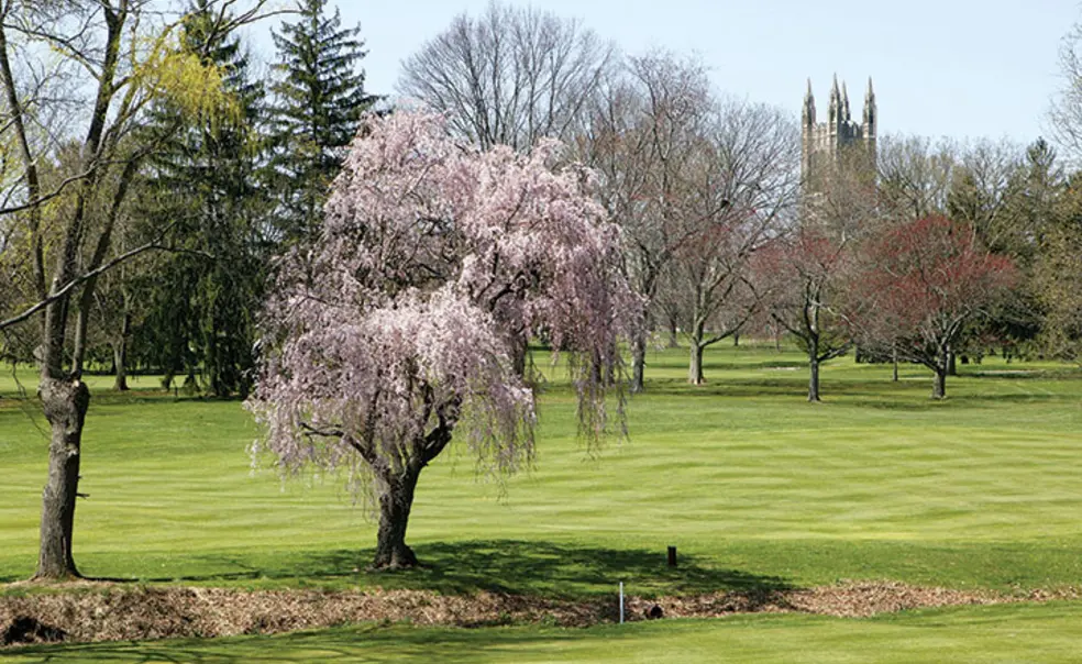 Springdale’s Days May Be Numbered Springdale’s Days May Be Numbered