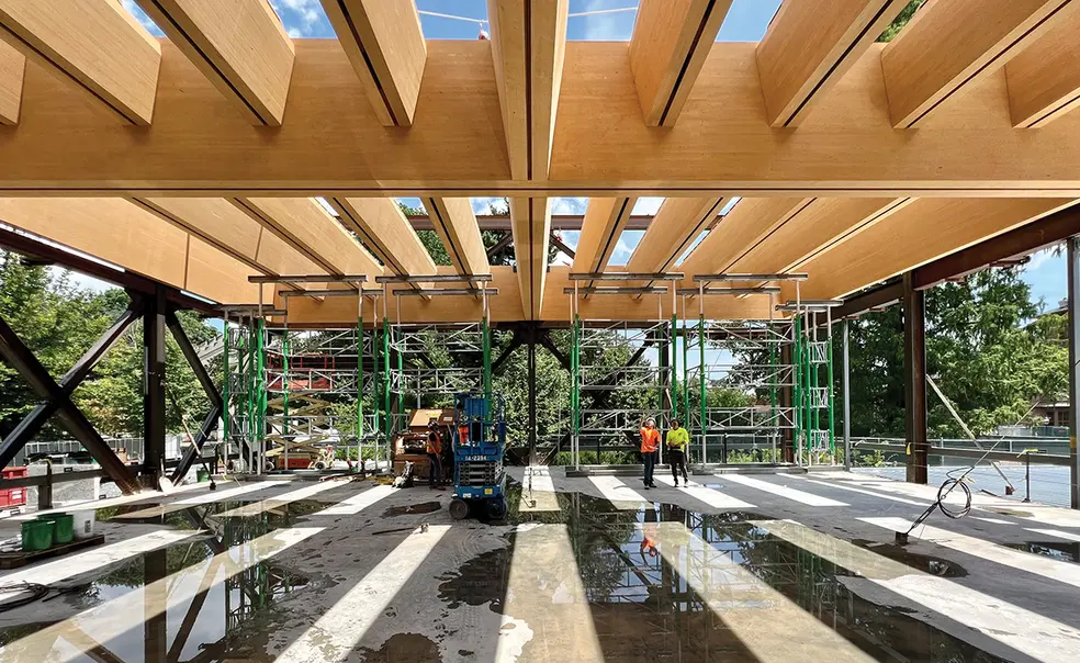 Exposed mass timber beams